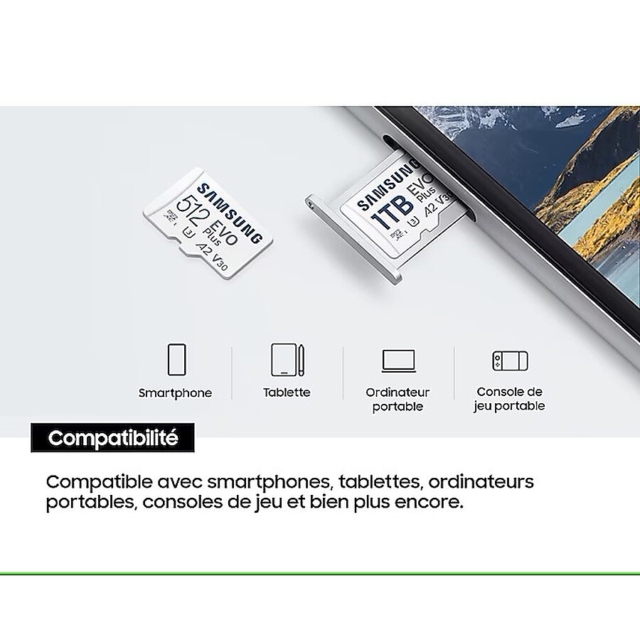 Samsung EVO Plus microSD 1 To (2024)