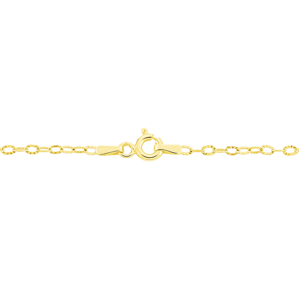 Chaîne Forçat Or Jaune