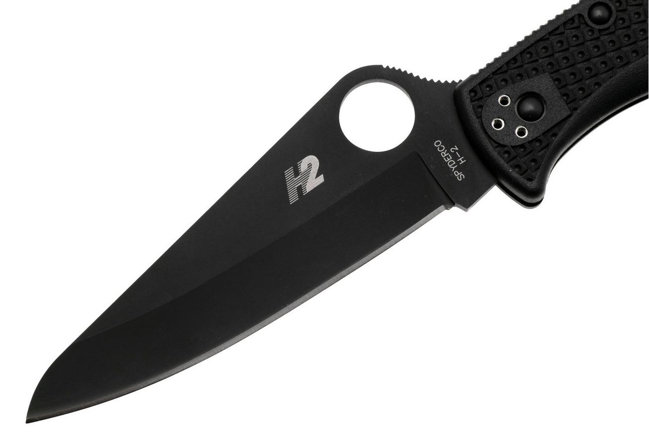 Spyderco Pacific Salt 2 Black C91PBBK2 zakmes