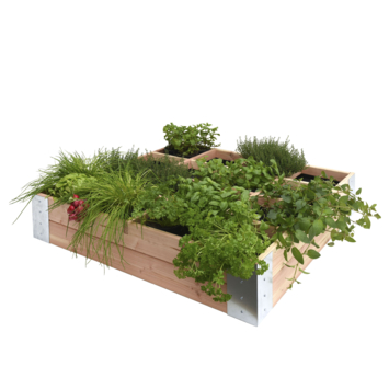 Moestuinbak douglas 100x100cm
