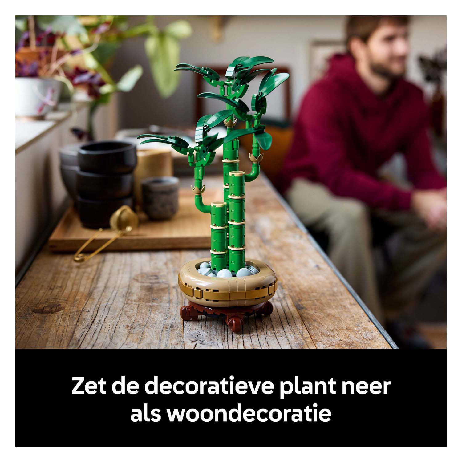 LEGO Botanicals 10344 Bamboe