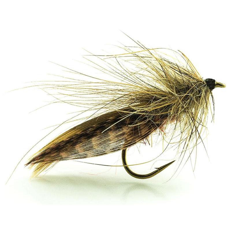 Mouche Devaux Sedge Tricoptheres Jpb05