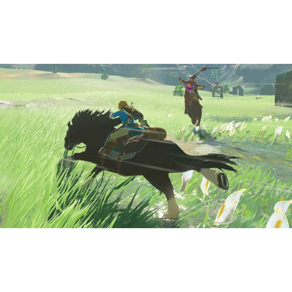 The Legend of Zelda: Breath of the Wild Nintendo Switch