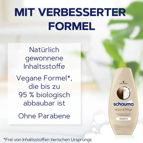 Repair & Pflege Spülung
