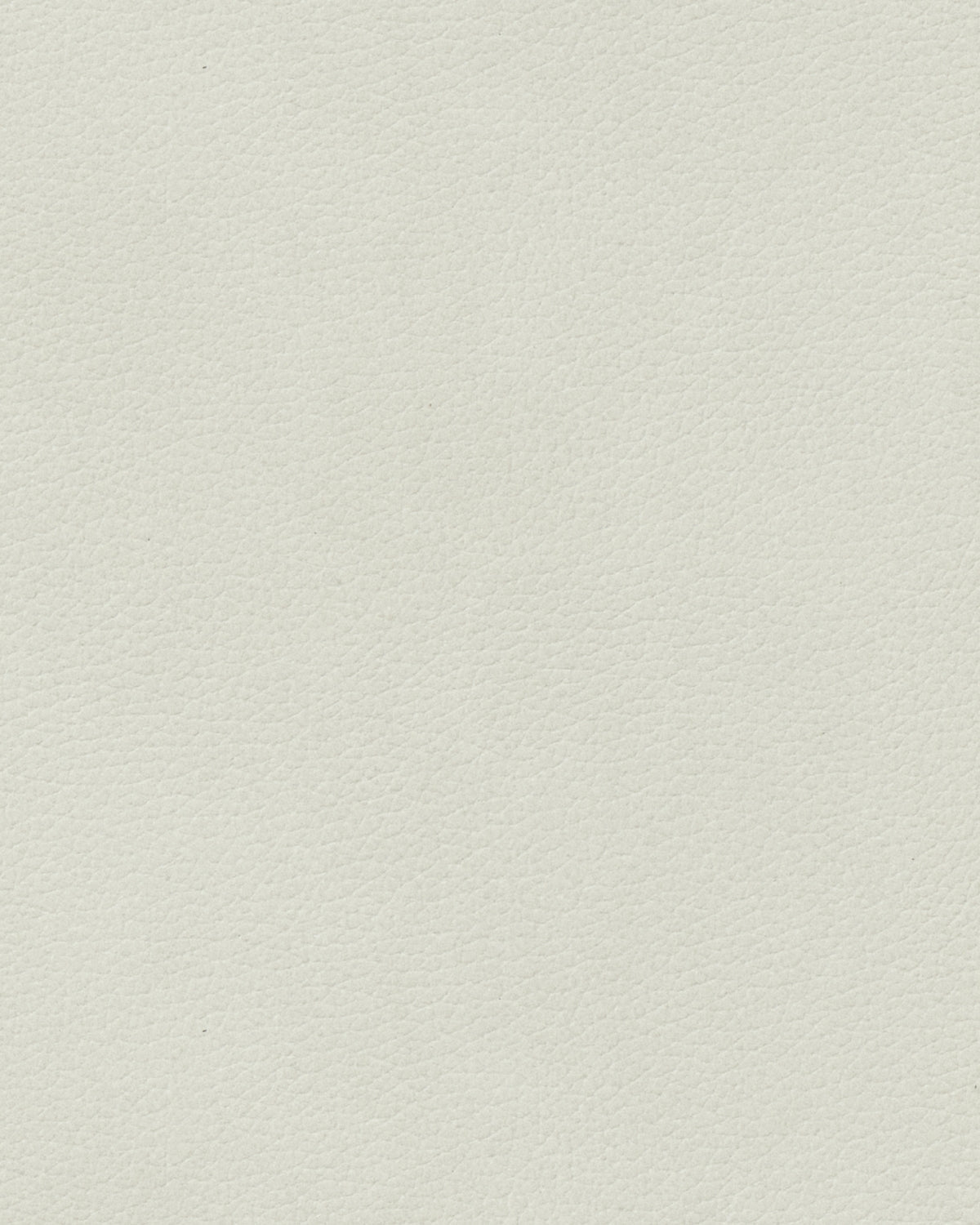 LIND DNA Placemats Nupo - Leer - Linen - 45 x 35 cm - 2 Stuks
