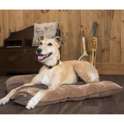 Cama para cães Chester Divan, marrom