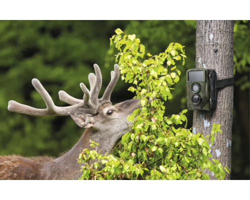 Technaxx Nature Wild Cam TX-160 batterijgevoede wildcamera voor binnen- en buitengebruik, ca. 9 x 7,2 x 13,6 cm, Full HD