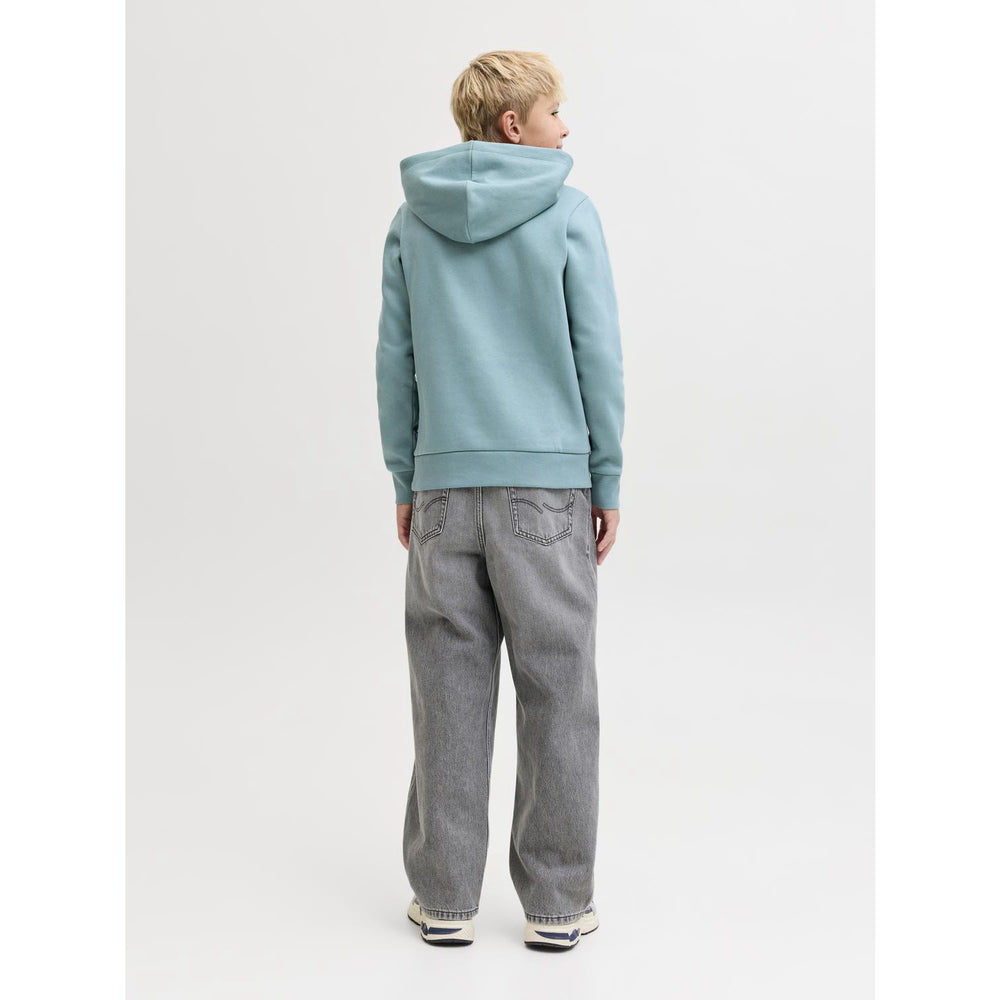 Køb Jack & Jones Junior Grey Denim Jjialex Jjoriginal Akm 011 Jnr