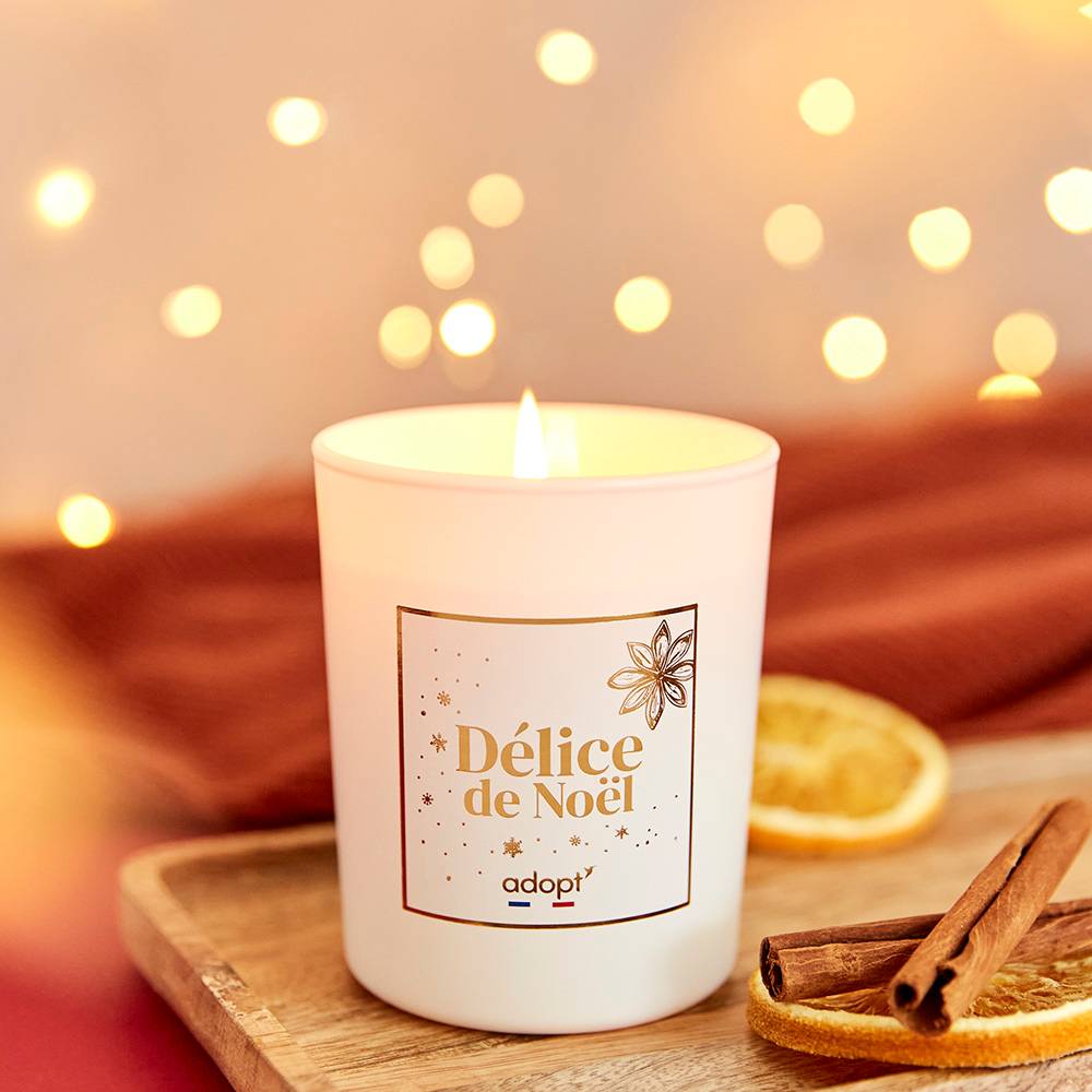 Délice de Noël BOUGIE 180G