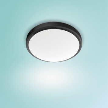 Philips Doris plafondlamp zwart 17W IP44