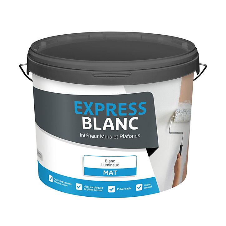 Peinture intérieur murs et plafonds Express blanc lumineux mat 10L