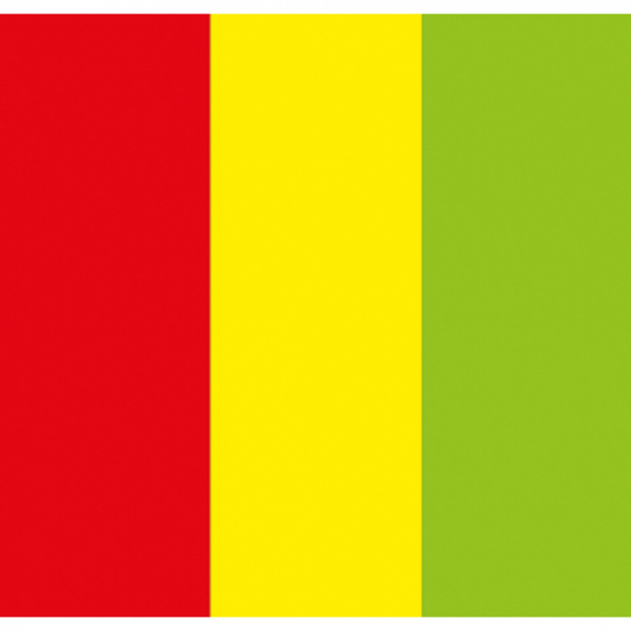 Showgear Electric Confetti Cannon Pro 80 cm rood, geel en groen