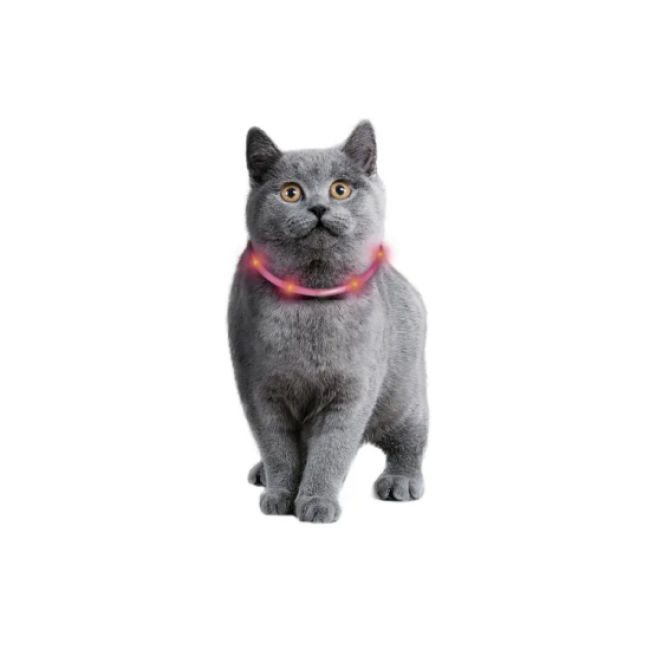 Collier orange Visio Light Led pour chats