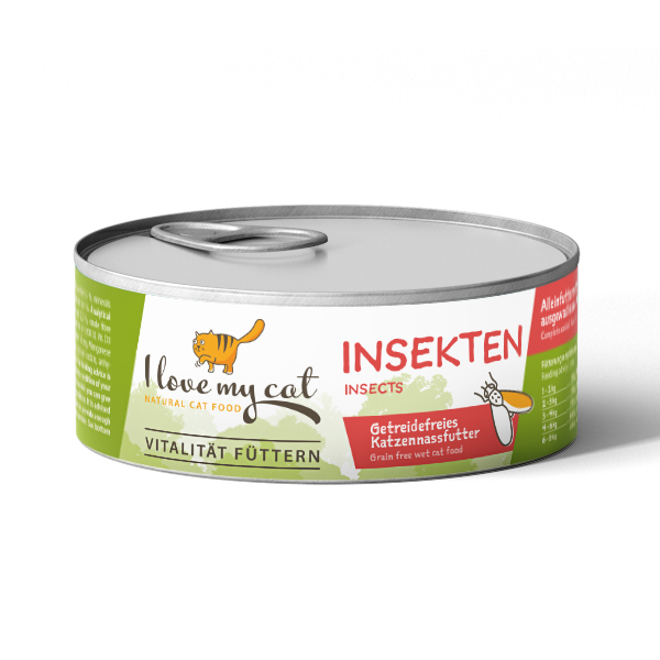 Ensemble économique pour maine coon