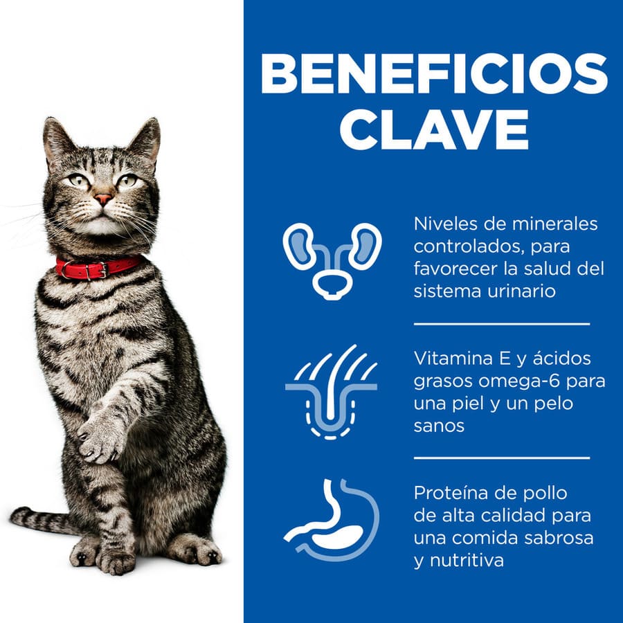 Ração para gatos Hill's com sabor de frango e urina