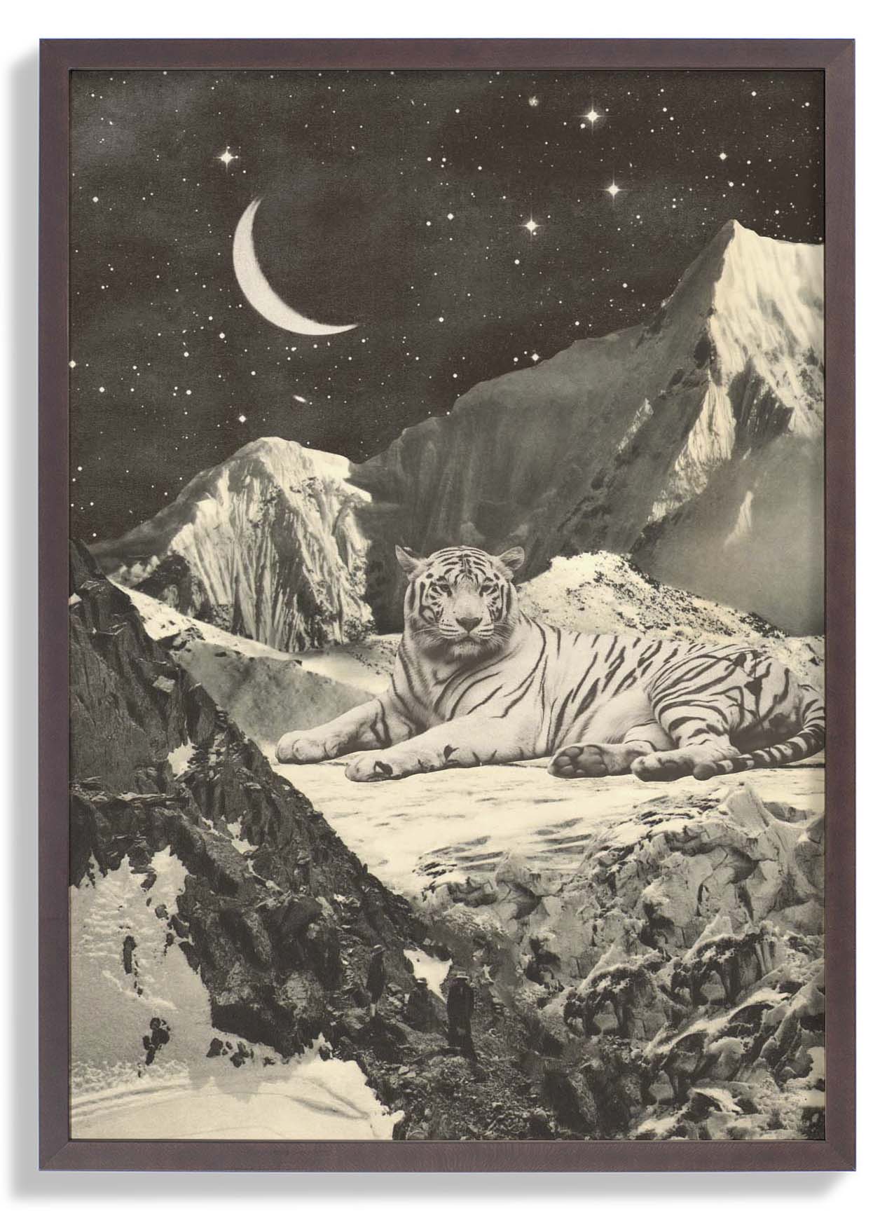 Riesiger weißer Tiger in den Bergen von Florent Bodart