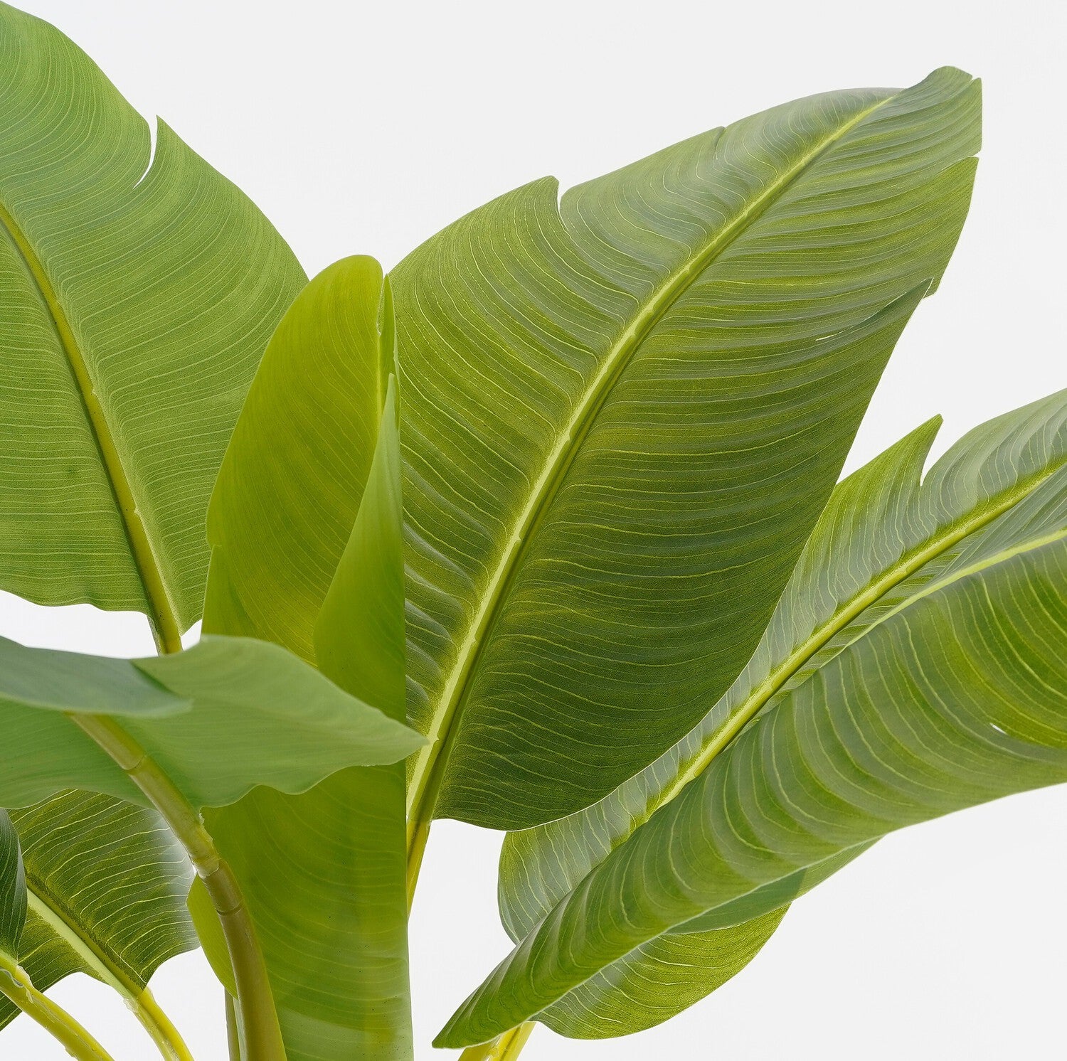 Mica Decorations kunstplant Bananenboom groen H 155 D 90 cm
