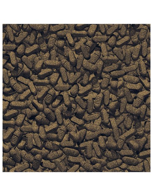 Jbl Propond Silkworms - Vijvervoer - 1 kg M