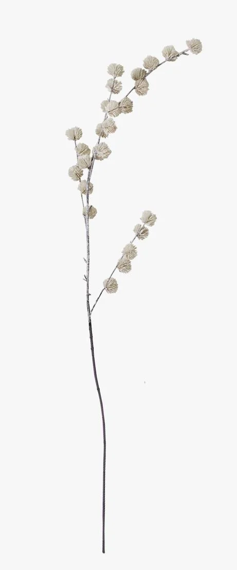 Kvist offwhite - 116 cm