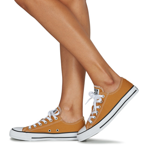 Converse - UNISEX CONVERSE CHUCK TAYLOR ALL STAR SEASONAL COLOR LOW TOP-BUR - Marron
