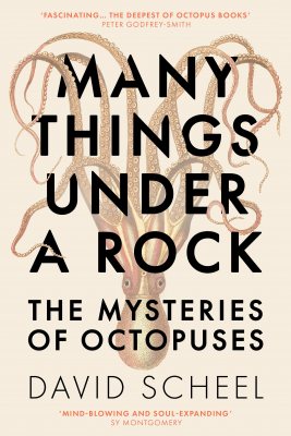 Many Things Under a Rock: The Mysteries of Octopuses (Hardback)