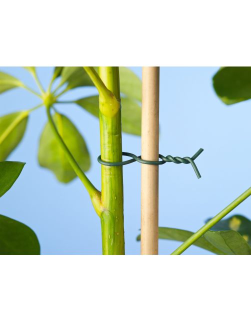 Nature Binddraad - Klim-En Geleide Artikel - 50 m Groen