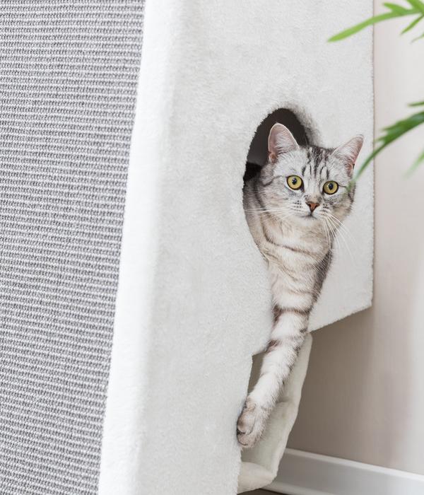 Trixie Kratzbaum mit Wandbefestigung, grau,