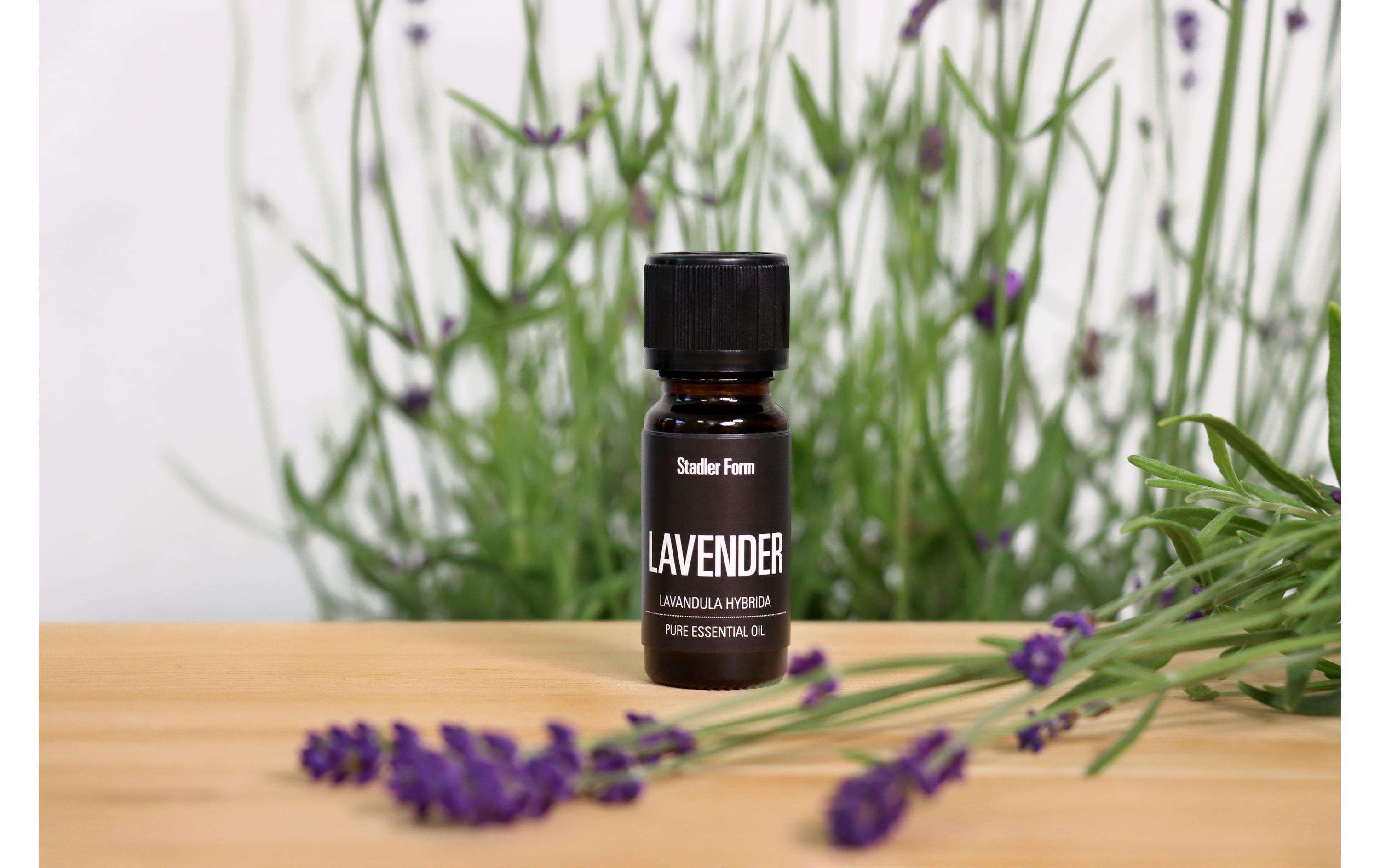 Duftöl Lavender Lavendel 10 ml 1 StückAromaöl für Aroma Diffuser, Luftbefeuchter und Luftwäscher