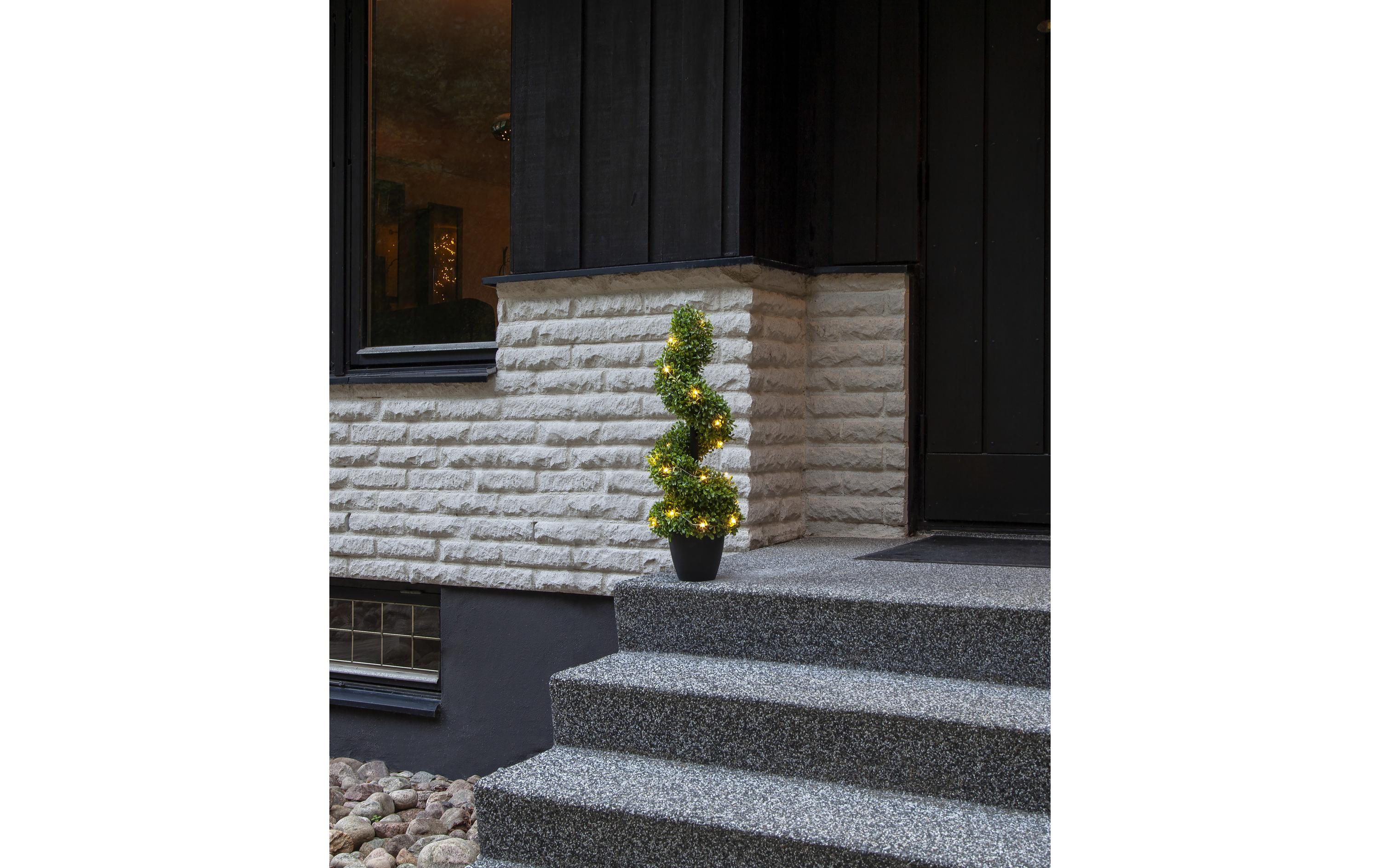 Baum Buxbom, 0.65 m, Grün, 20 LEDLED Leuchtbaum