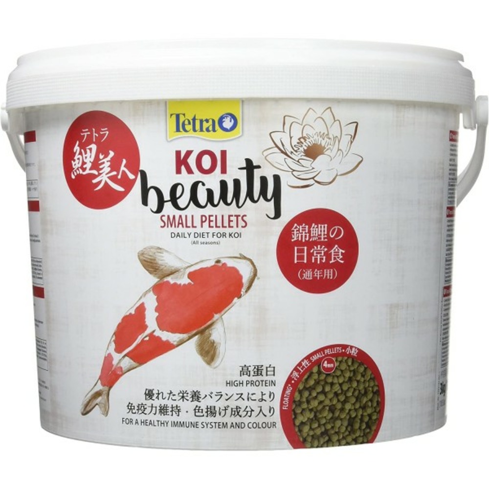 Tetra koi beauty small 10l (4mm)