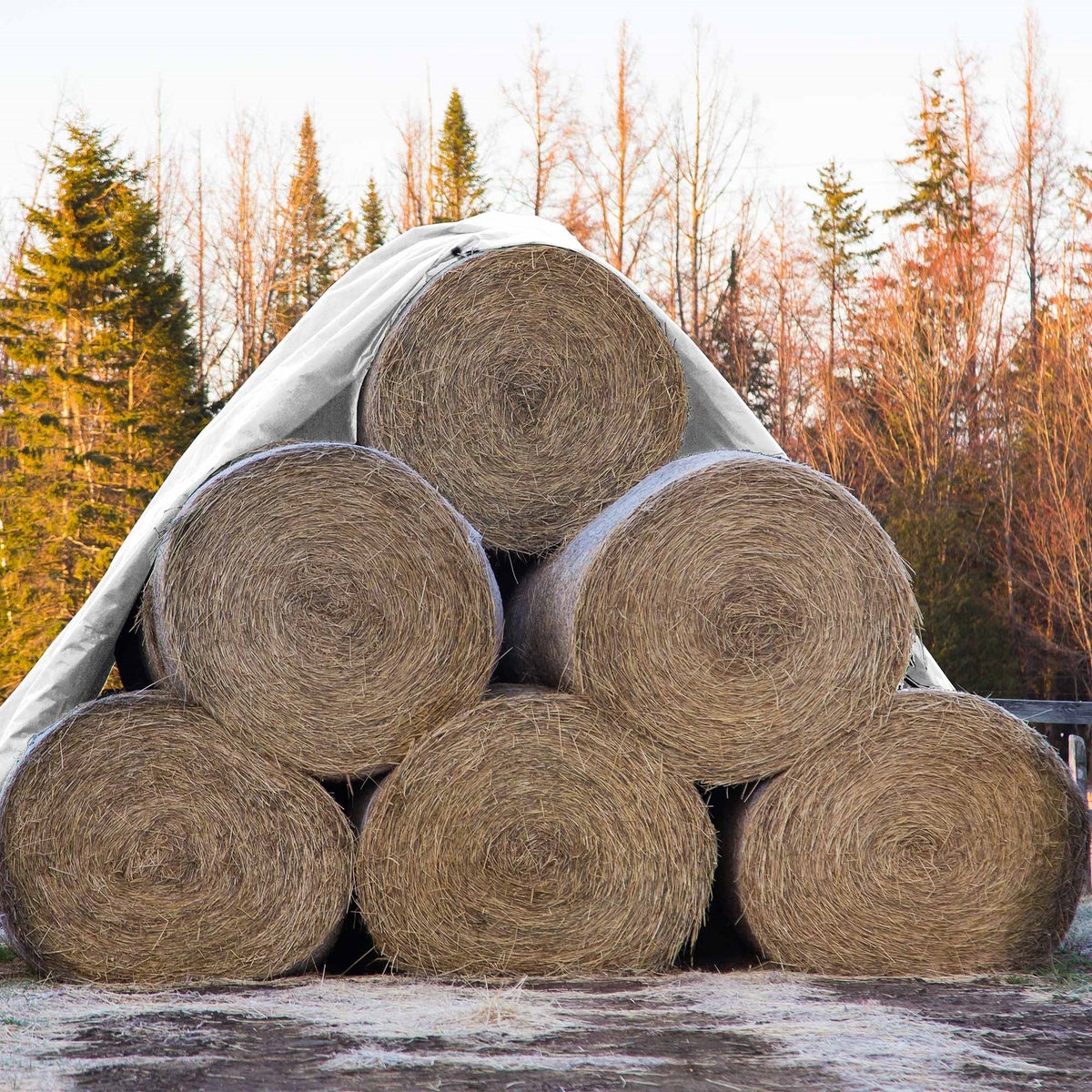 ECD Germany Afdekzeil met ogen, 6x12m, 72m², 260g/m², Wit, Polyethyleen, Schimmelwerend, Waterdicht, Scheurvast, Beschermhoes, Boothoes, Tuinhoes, Houten hoes, Hoes voor tuinmeubelen, Zwembad, Auto