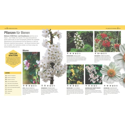 Das Bienen Buch