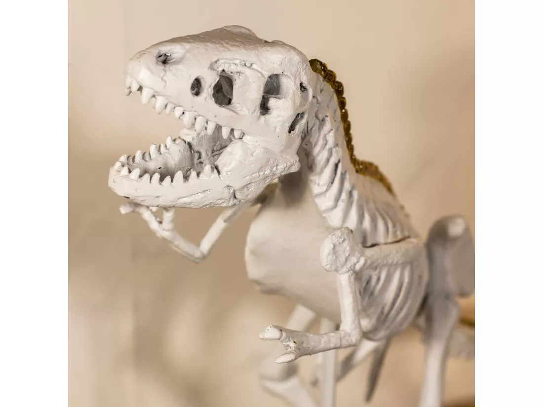 Now's Home - Tyrex Blanc Et Or 52x15x36cm Tyrex