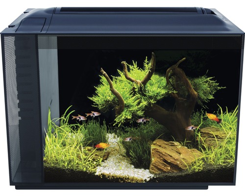 Aquarium Fluval Spec XV 60L met LED-verlichting en filtersysteem, zwart