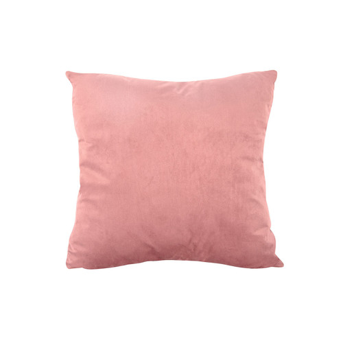 Present Time - HEXAGON - Rose