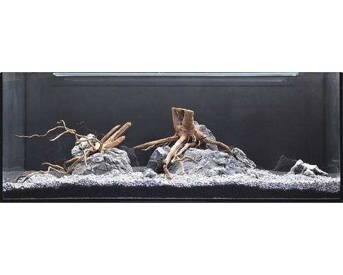 Aquarium waterplantenpakket XL 