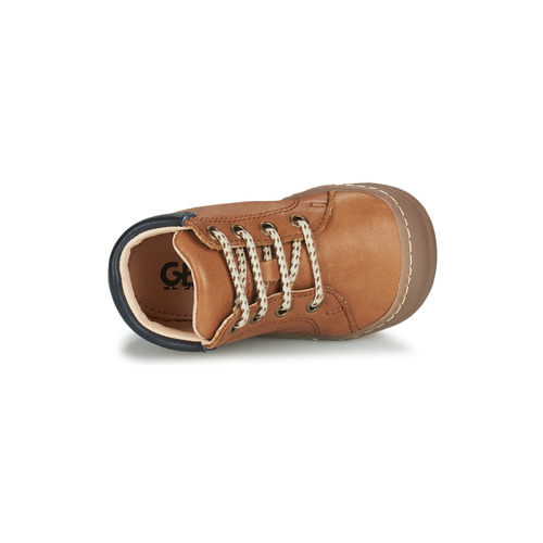 GBB - APORIDGE FLEX - Marron