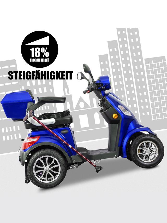 Elektroroller Theo 25 mit BG Akku