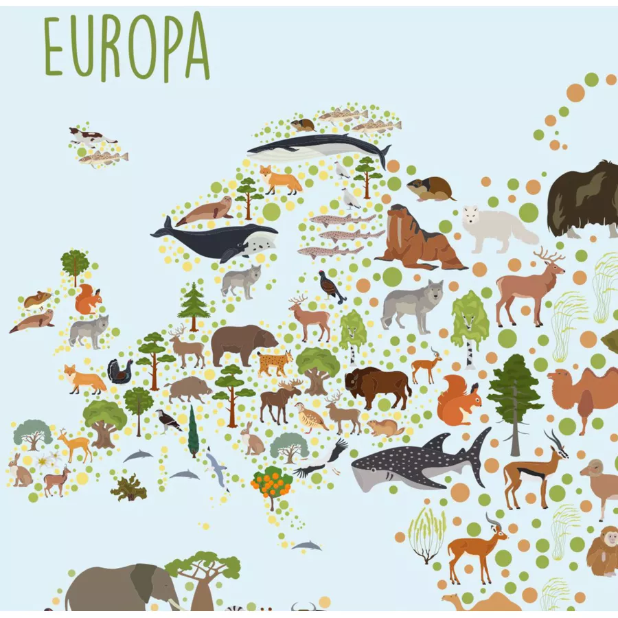 Nikima Poster Kinder Weltkarte Tiere - in 3 Größen bunt