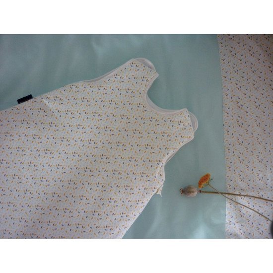 Confettis Sac de naissance   de               Candide