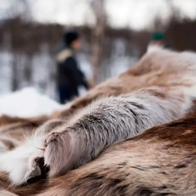 Espegard Villmark Polar - sitteplate i reinskinn