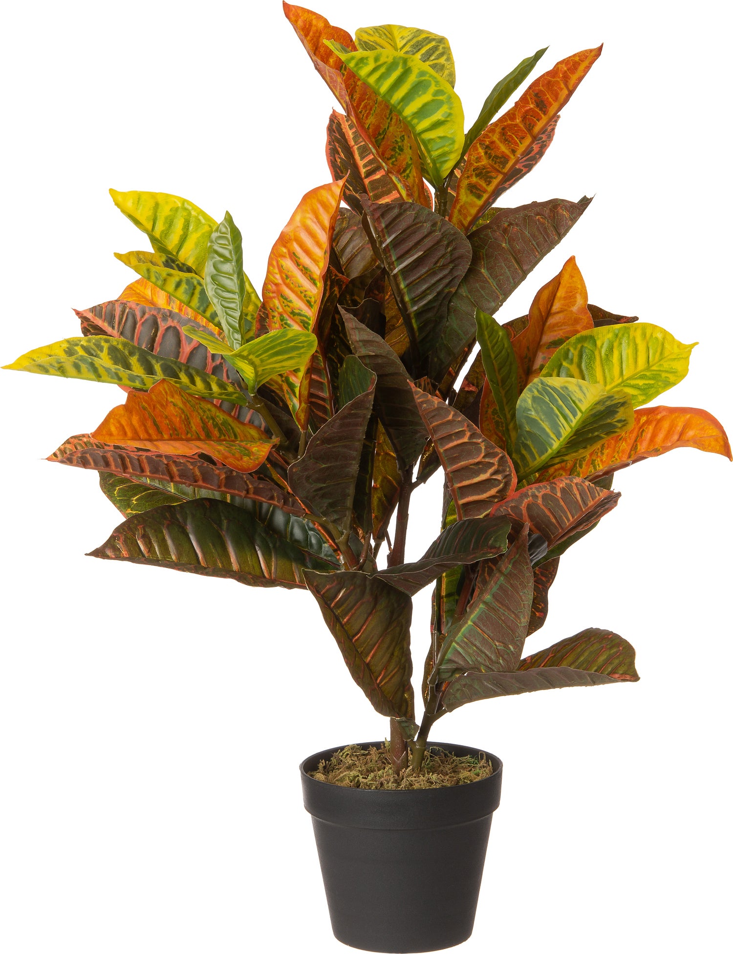 Intratuin kunstplant Croton multi 45 x 40 x 75 cm