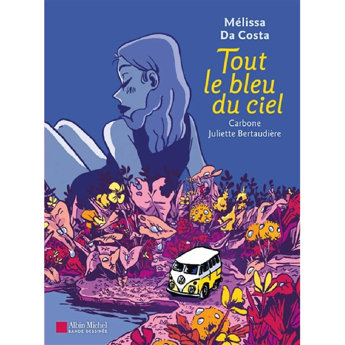 Tout le bleu du ciel · Occasion