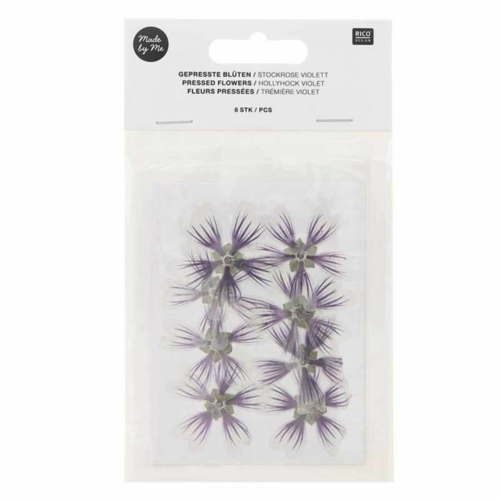Trémières violettes séchées et pressées