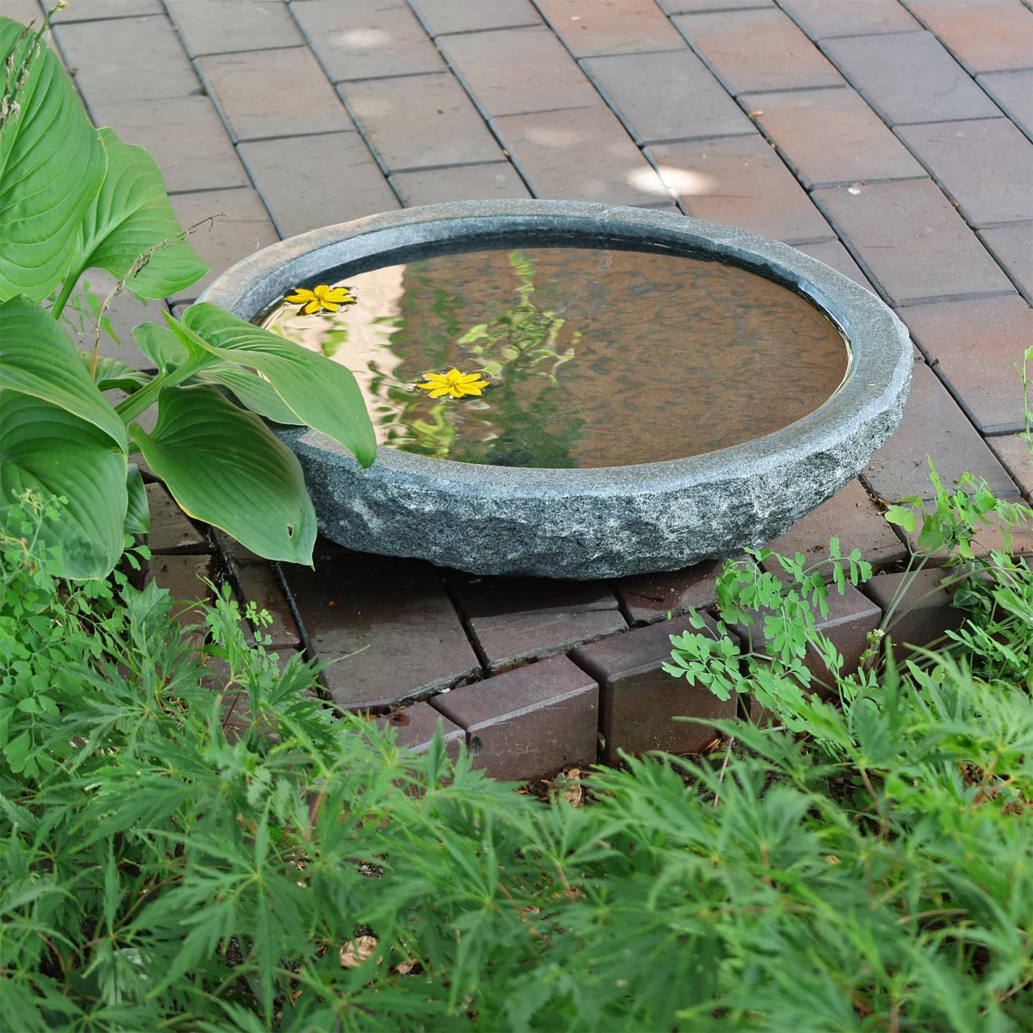 Naturstein Wasserschale GVT2 aus Granit Ø 46cm Vogeltränke groß Garten Stein Boden Vogel Bad frostfest