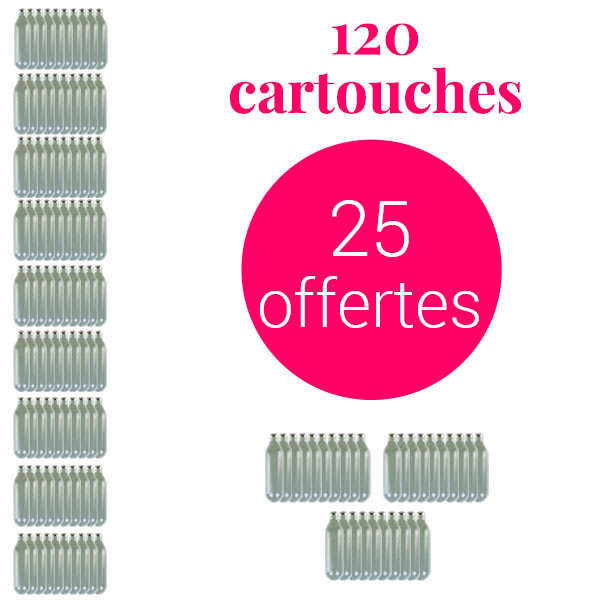 95 cartouches de 8g de N2O pour siphon chantilly + 25 offertes