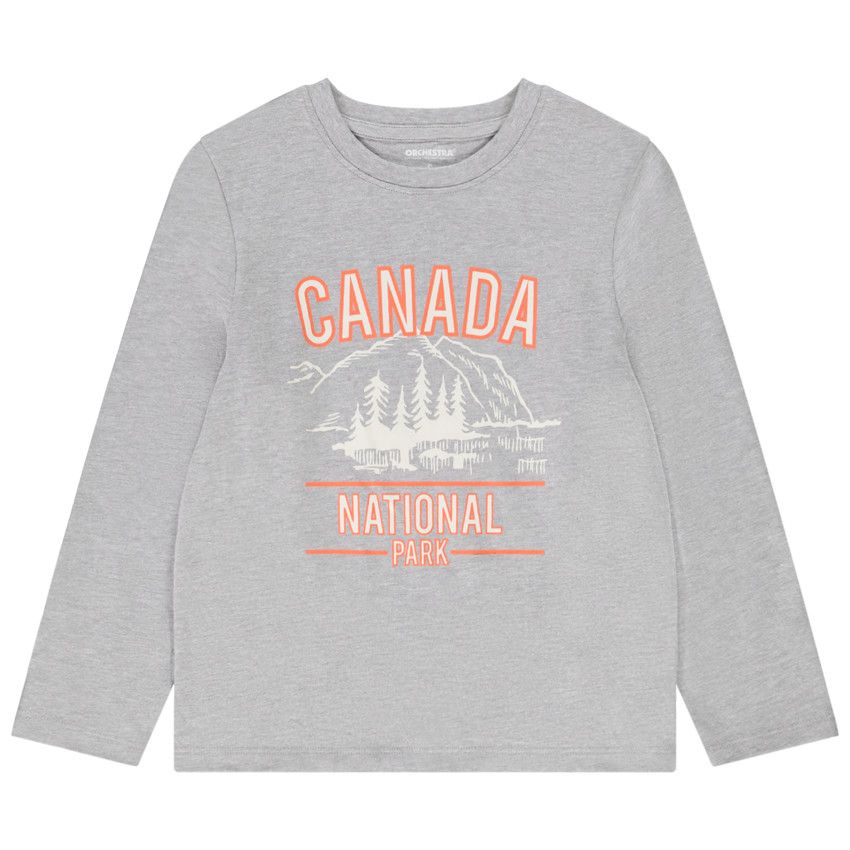 T-shirt manches longues en jersey print fantaisie pour garçon - Gris chiné