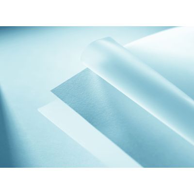 Fellowes - 100 pochettes de plastification A3 (303 x 426 mm) - 100 microns - brillantes