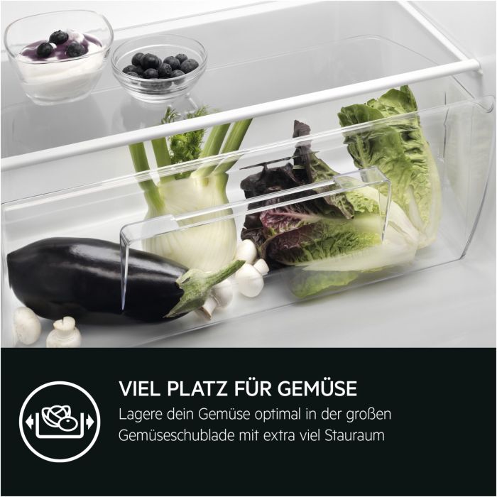 AEG Einbau-Kühlschrank TSK5O121DF - Festtür // 50€ Cashback