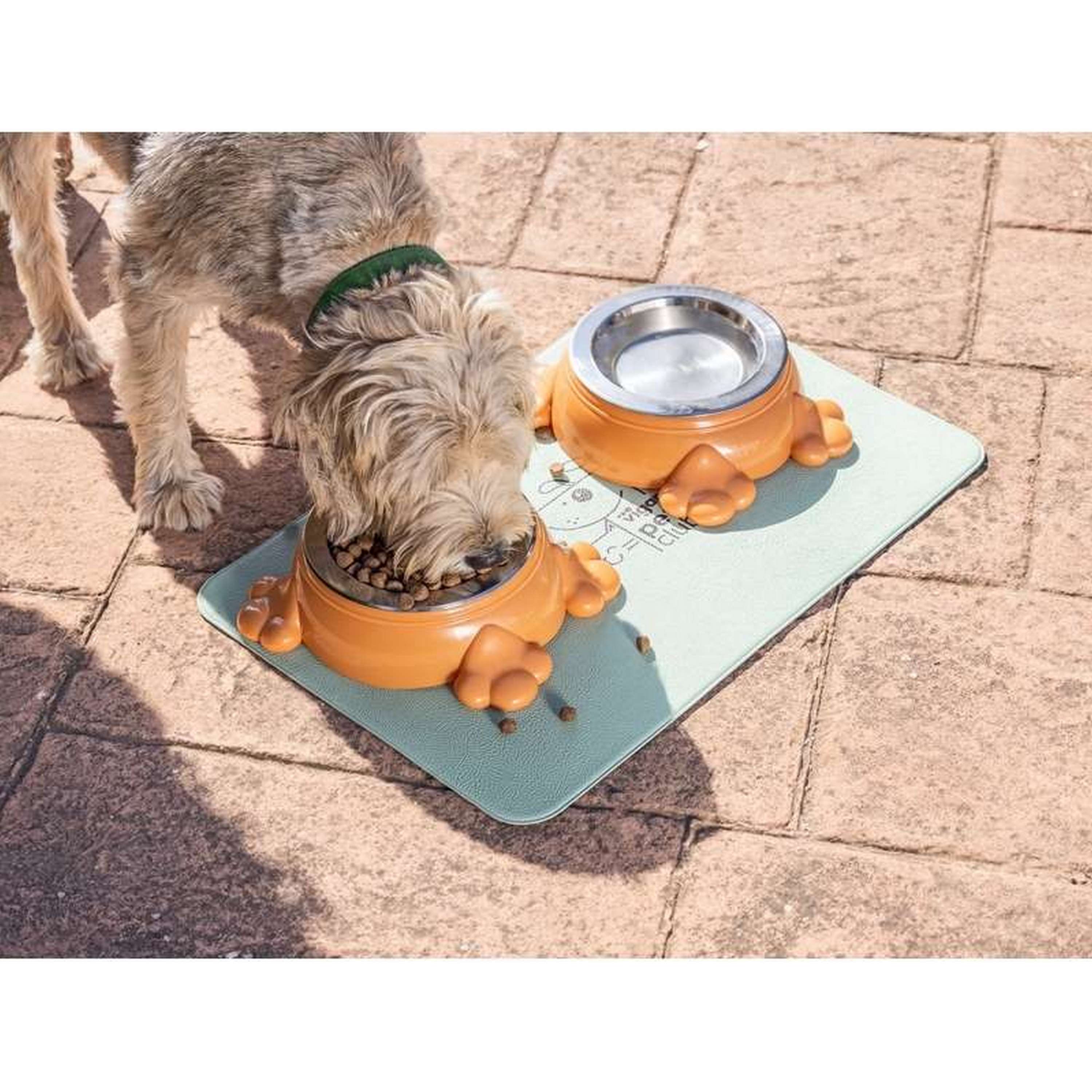 Alimentador Large Paw Pets Club